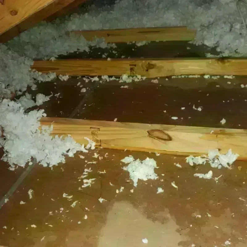 Attic Water Damage in Laurel Hill, NC